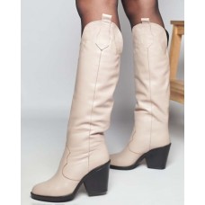 Женские сапоги Казаки итальянская замша и кожа деми/зима 0079БНМ