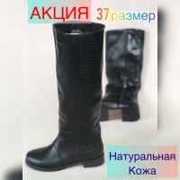 Женские зимние осенние высокие сапоги кожа черные 0568УКМ 